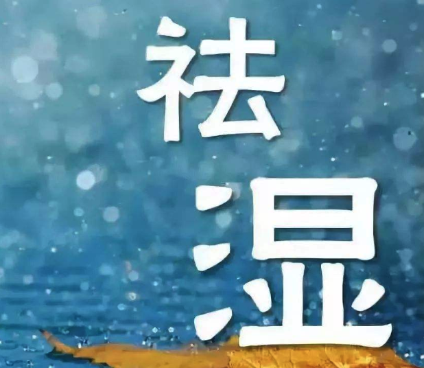 艾灸除湿气灸部位图片