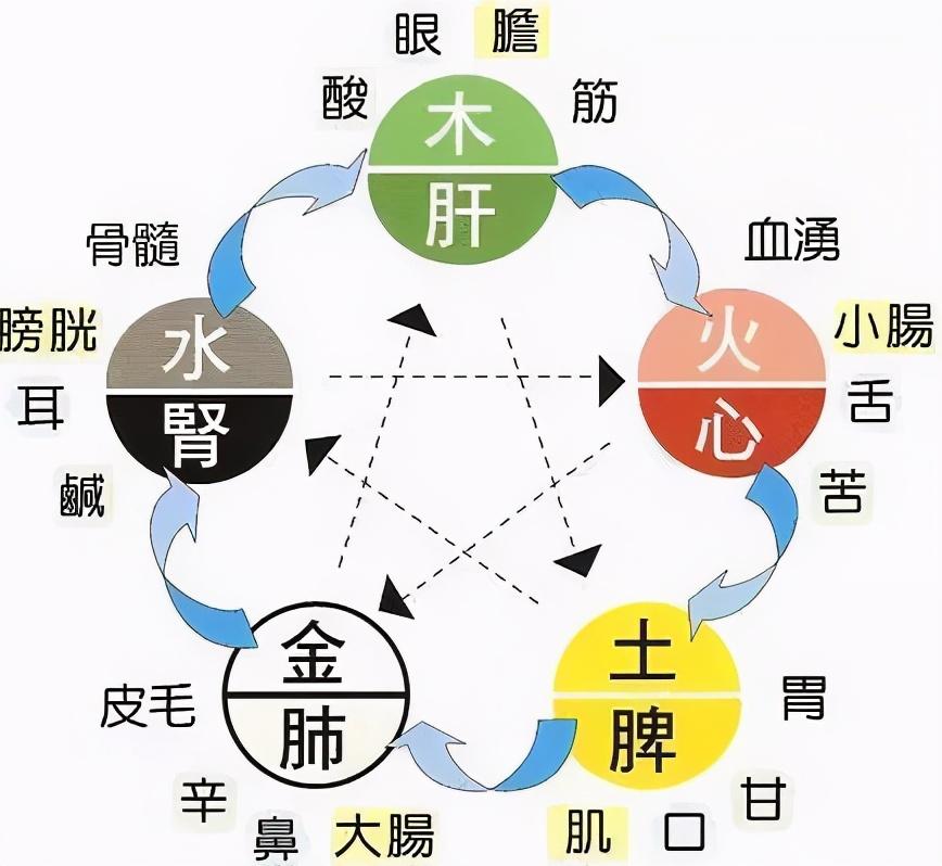 心对舌肝对目脾对口肺对鼻肾对耳,这样养五脏!