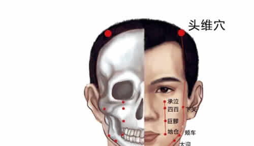 头维穴