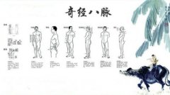 八脉