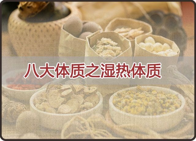 湿热体质如何调理